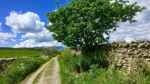 Didn’t meet a soul!