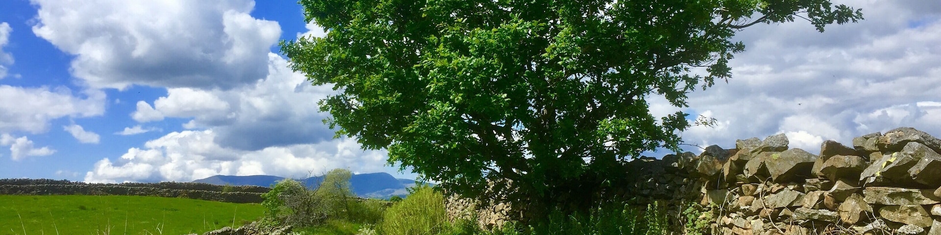 Didn’t meet a soul!