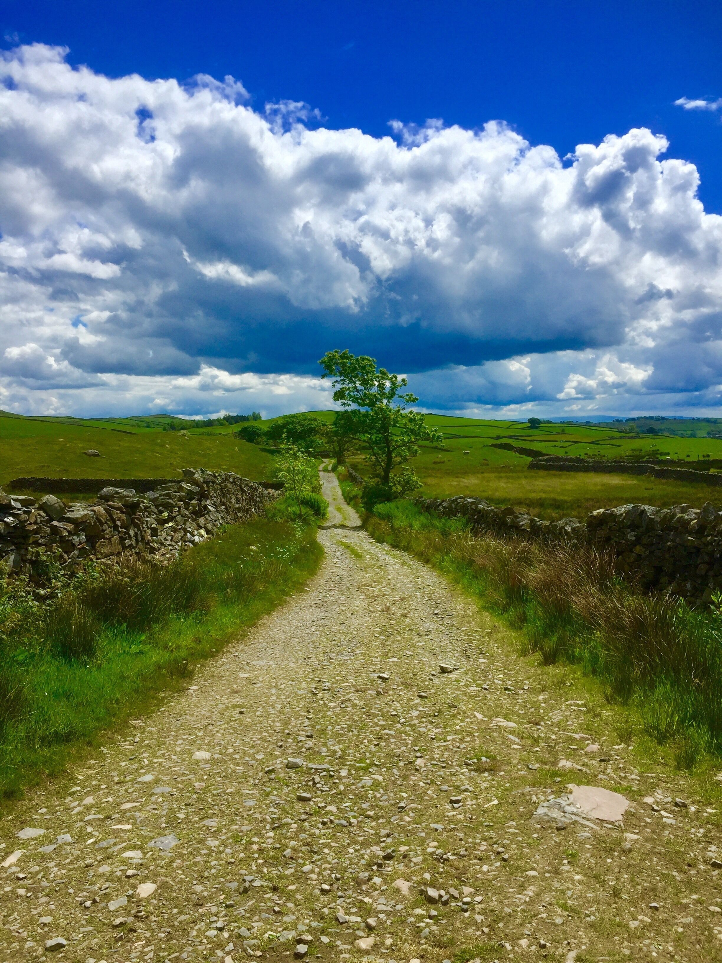 A day of alternating bright sunshine and dark clouds.