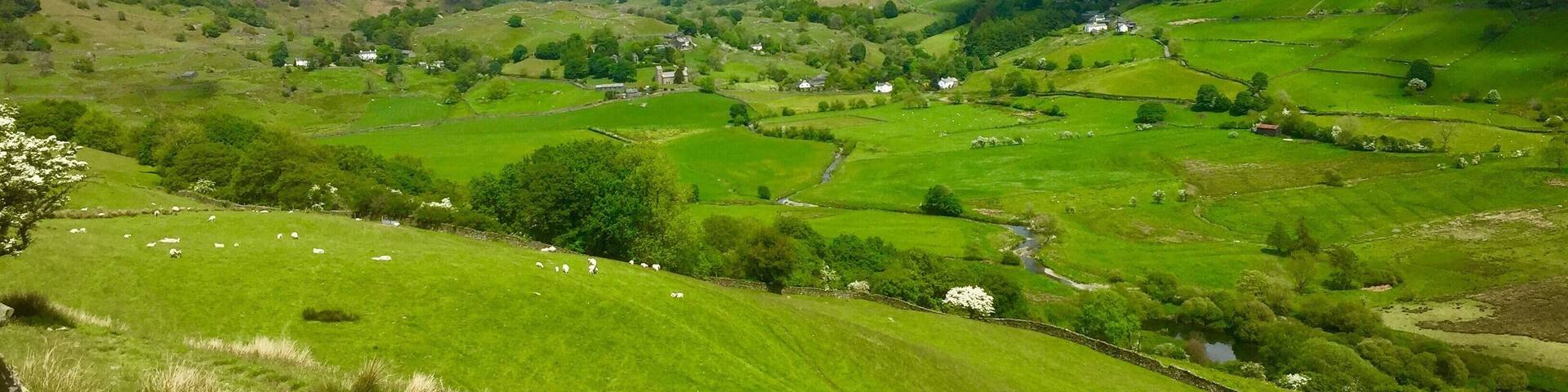Coming down into the valley. Reminder to self: you don’t have to walk across the fell tops - the valleys are beautiful too. Would so love to live here in one of those whitewashed farmhouses!