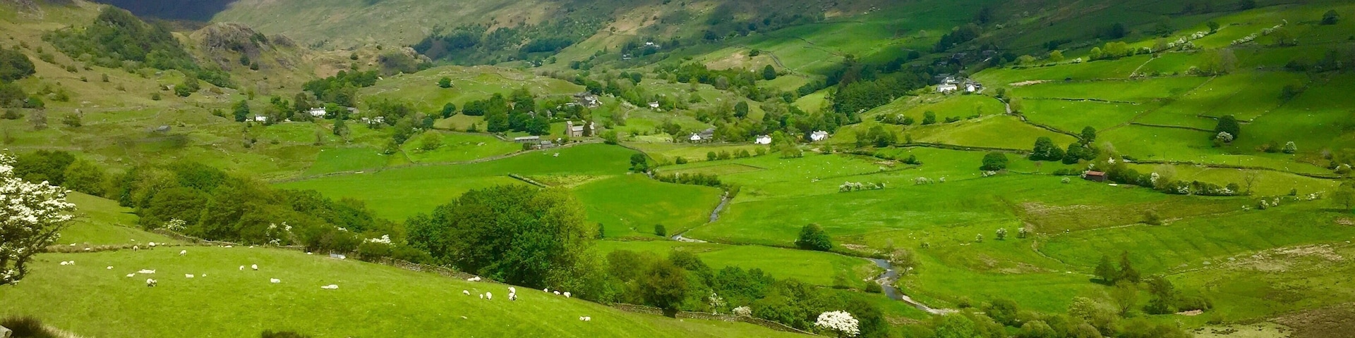 Coming down into the valley. Reminder to self: you don’t have to walk across the fell tops - the valleys are beautiful too. Would so love to live here in one of those whitewashed farmhouses!