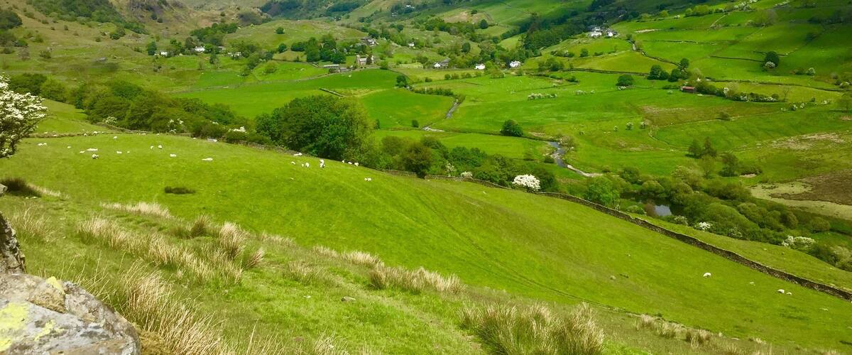 A lush green valley with rolling hills, scattered houses, and a river.