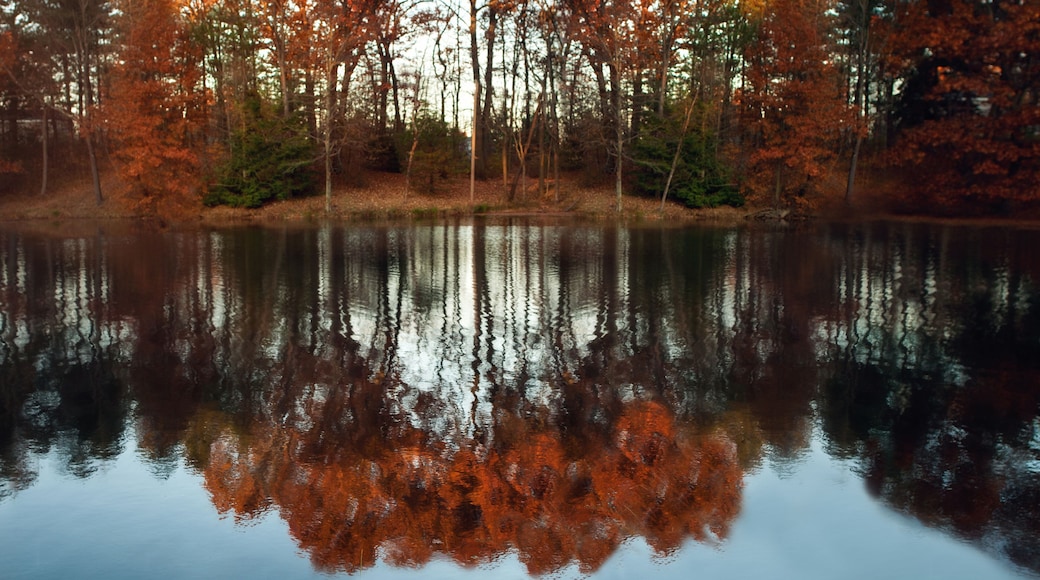 Beautiful colorful autumn trees reflecting on water