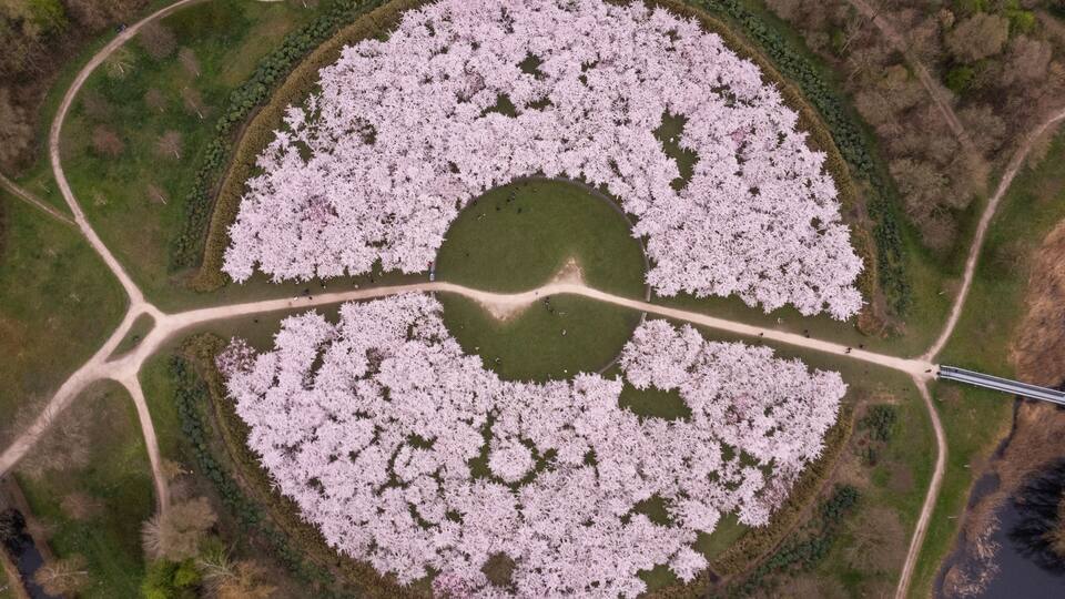 Aerial view of Bloesempark, a beautiful public park with flower blossom in Amstelveen, North Holland, Netherlands.