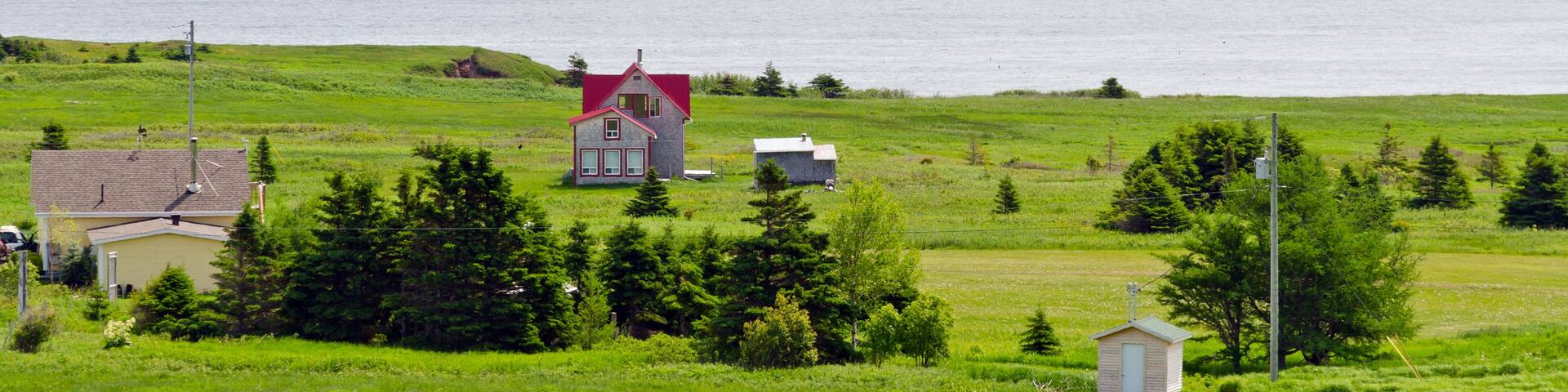 Newfoundland coast