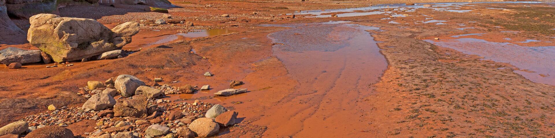 Dramatic Panorama of the Coast at Low Tide