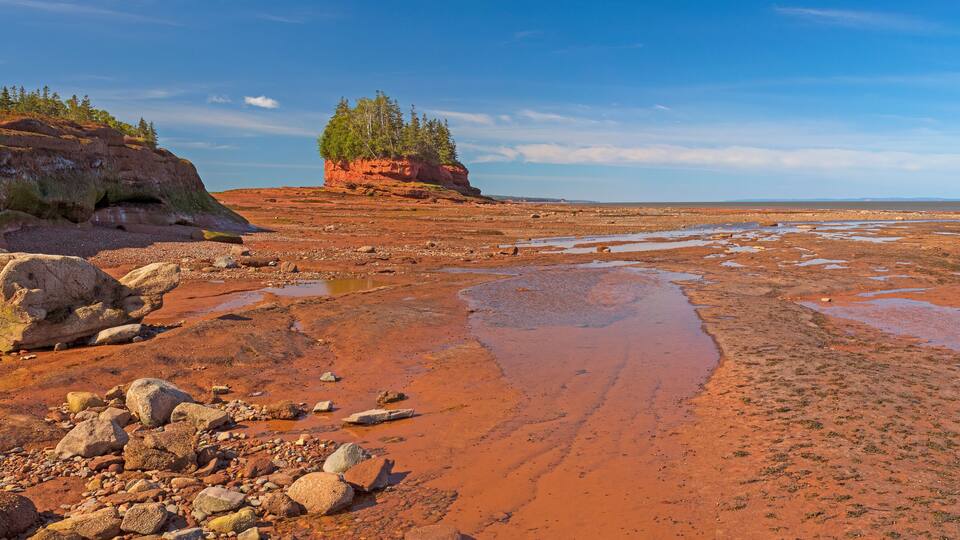 A red rock landscape with scattered boulders and a small cluster of trees on a hill.