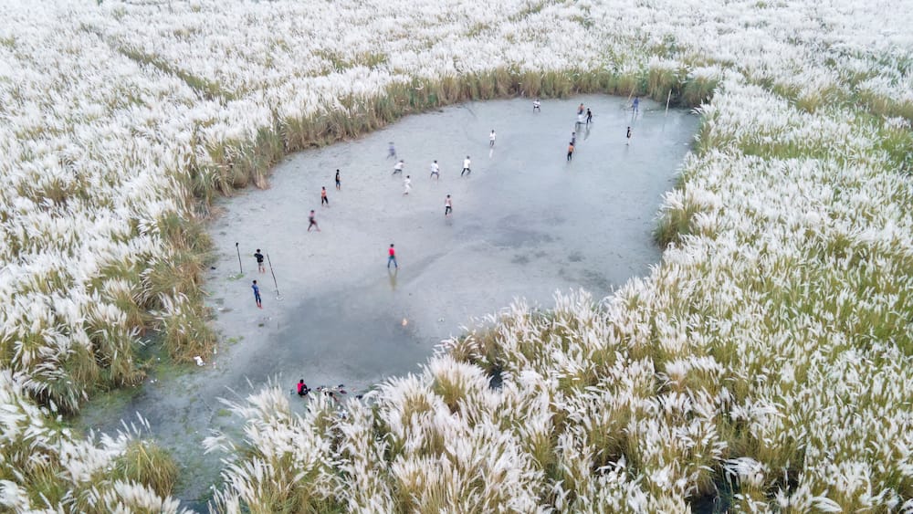Aerial view of boys playing soccer on a permanent sand field surrounded by temporary flower beds in the capital city Dhaka, Bangladesh.