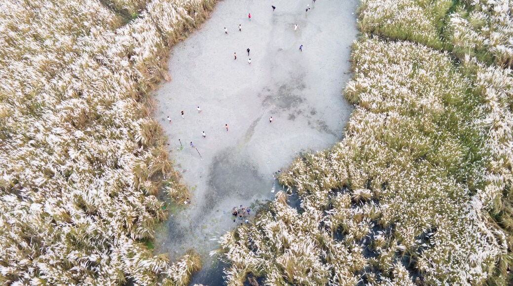 Aerial view of boys playing soccer on a permanent sand field surrounded by temporary flower beds in the capital city Dhaka, Bangladesh.