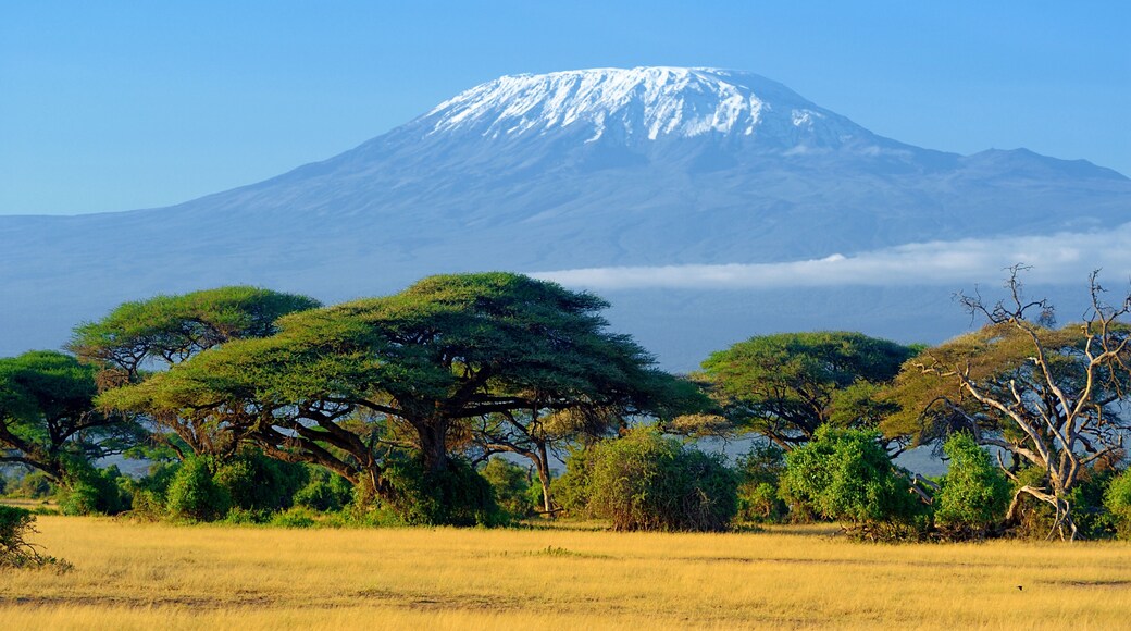 Kilimanjaro on african savannah