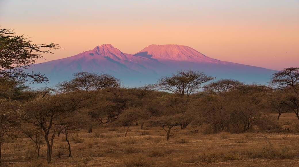 Kilimanjaro im Morgenlicht