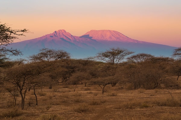 Kilimanjaro im Morgenlicht