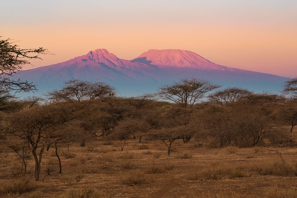 A mountain landscape with sparse trees and a clear sky.