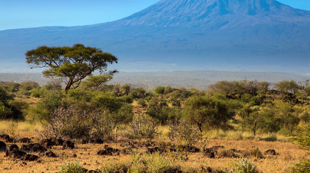 The Kilimanjaro