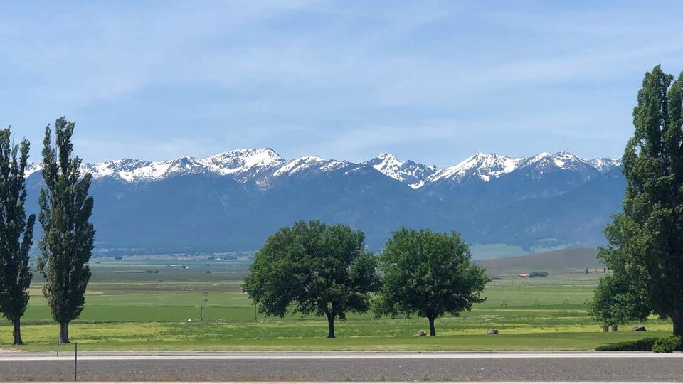 A landscape with a road, green fields, and snow-capped mountains in the background.