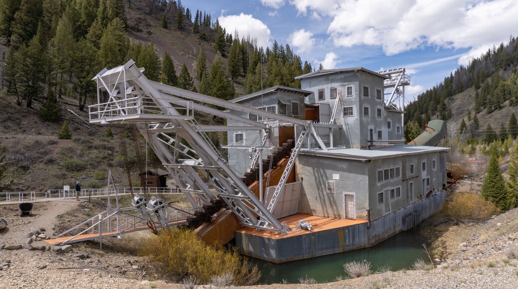 ヤンキーフォークゴールドドレッジ