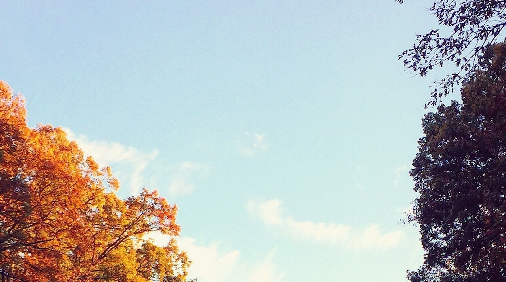 Nashville's Vanderbilt University