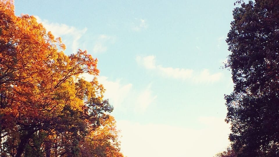 Nashville's Vanderbilt University