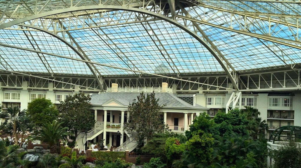 This place is awesome! Sorta like Disney and Vegas had a bastard southern child.