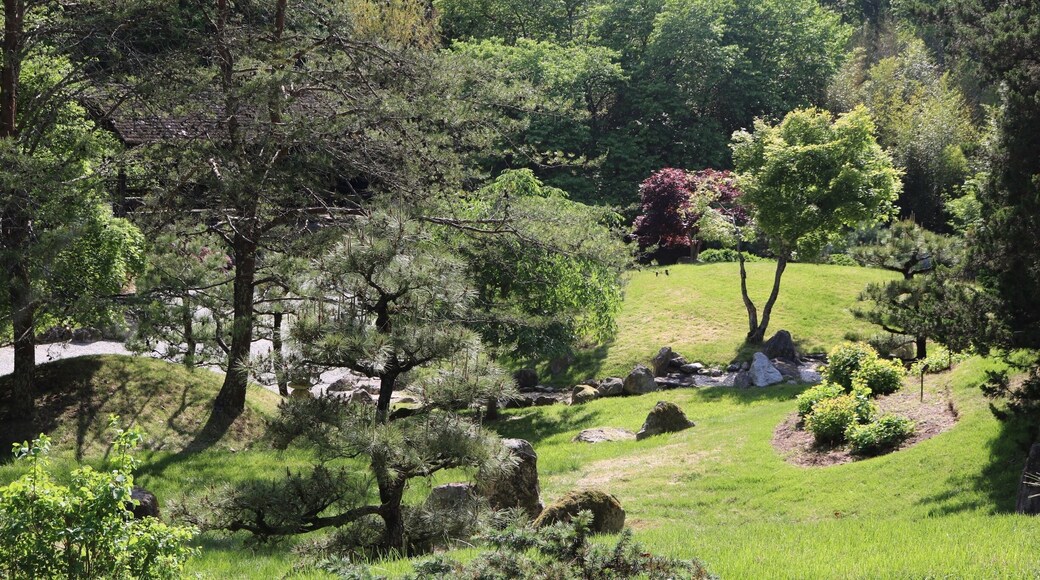 Checkwood Botanical Garden, Nashville, TN.