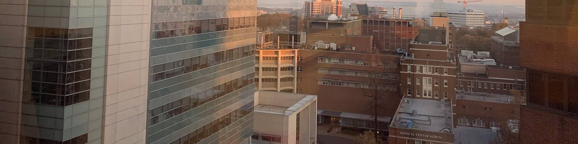 Early mornings at Vanderbilt can be the best time to capture the beauty of the campus.