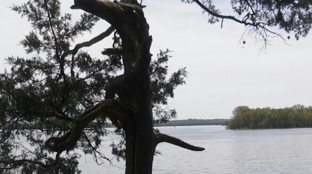 Beautiful lake for boating & outings.