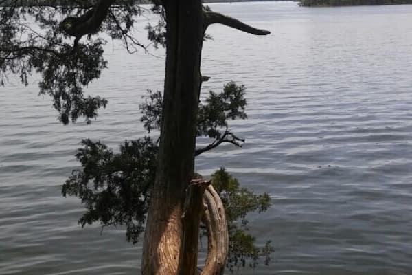 Beautiful lake for boating & outings.