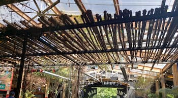 Neat courtyard upstairs with bars and live music