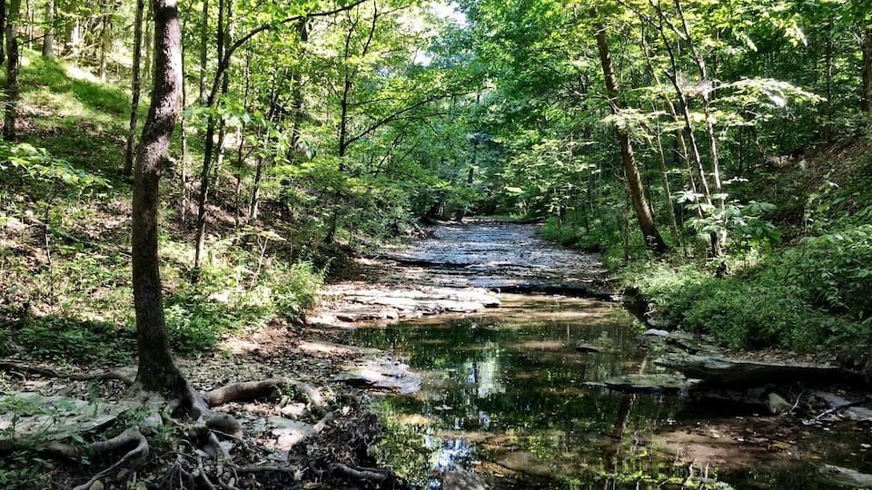 Absolutely beautiful day - the lack of rain the last few weeks means that more geodes and fossils are exposed.
