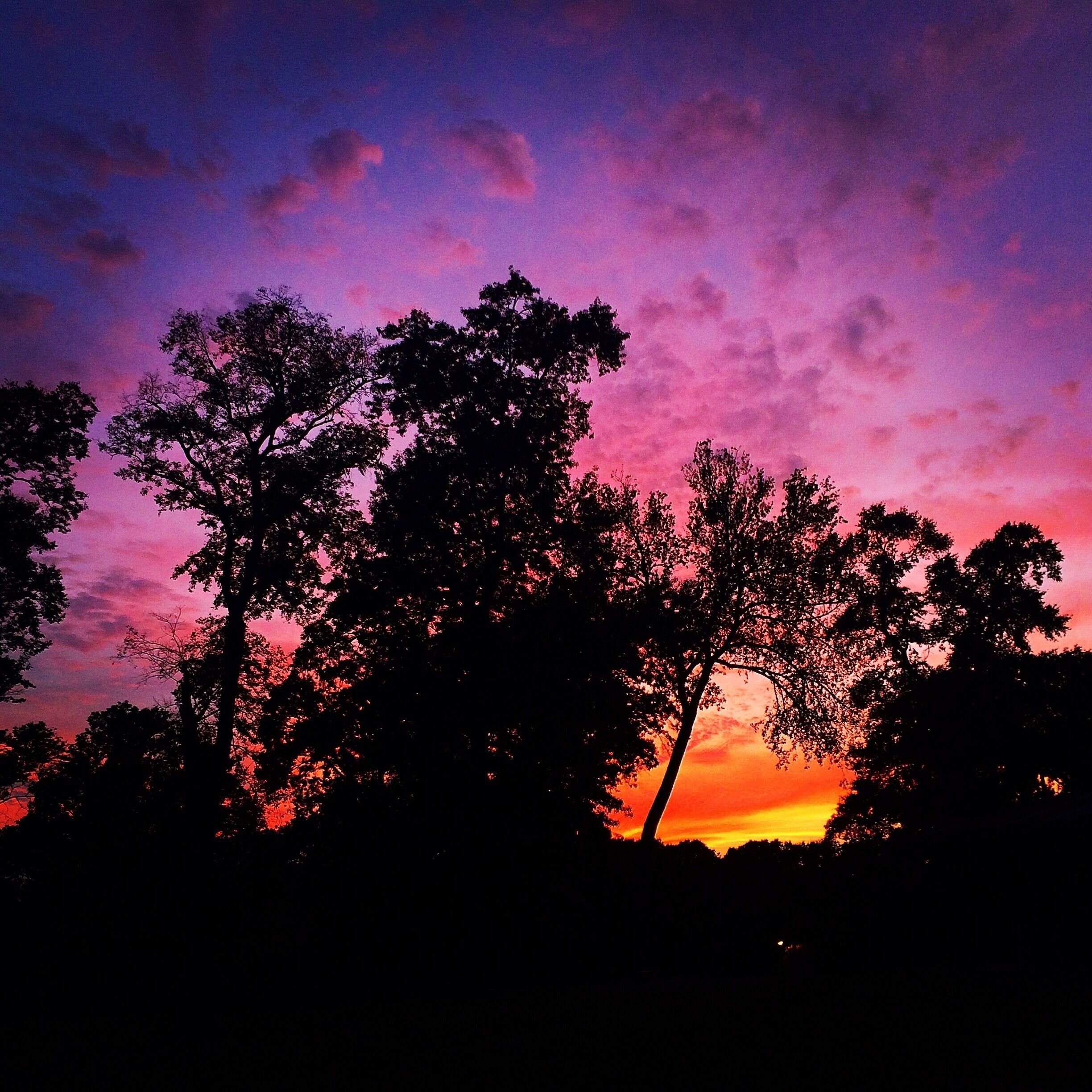 Sunsets on a great day of disc golf