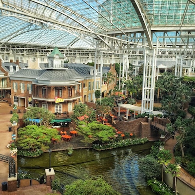 An indoor atrium with a glass ceiling, a canal, and surrounding greenery.