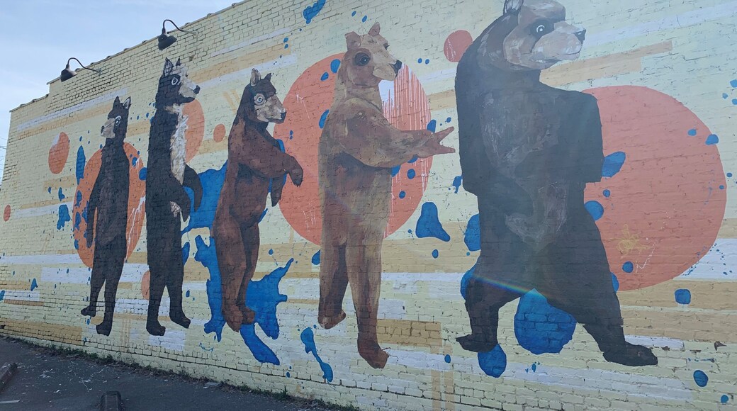 The Five Points Bears..