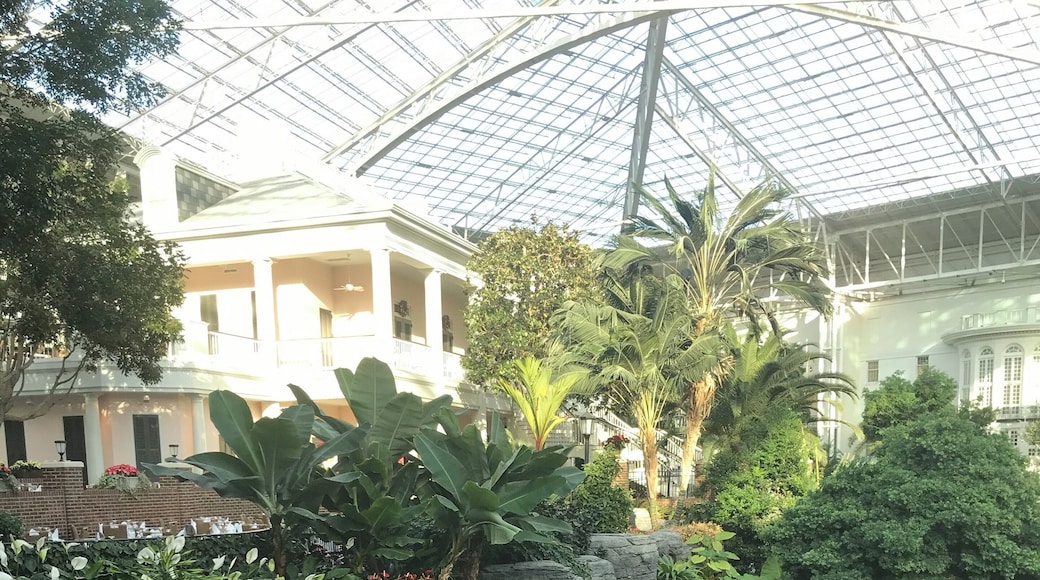 Ever seen something some beautiful in nature? What makes this unique? Itâs indoors! One of the most beautifully designed hotels in the world! Seriously look it up and see where it ranks! #culture