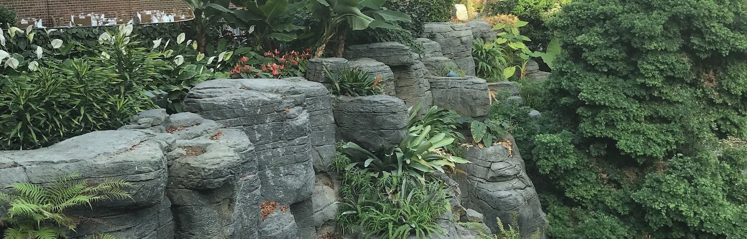 Ever seen something some beautiful in nature? What makes this unique? It’s indoors! One of the most beautifully designed hotels in the world! Seriously look it up and see where it ranks! #culture