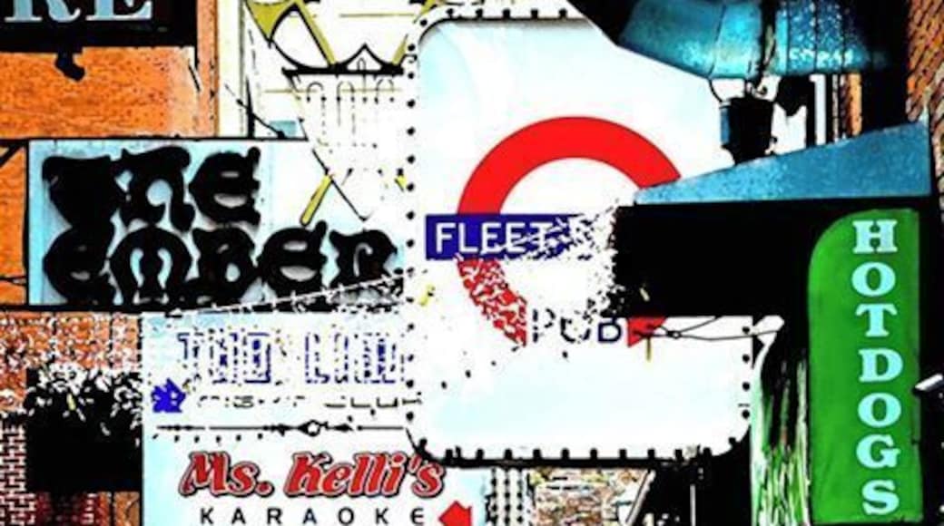 A small alley filled with blues clubs