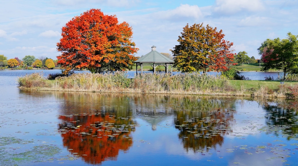 A serene lake with autumn foliage, a gazebo, and a clear reflection.