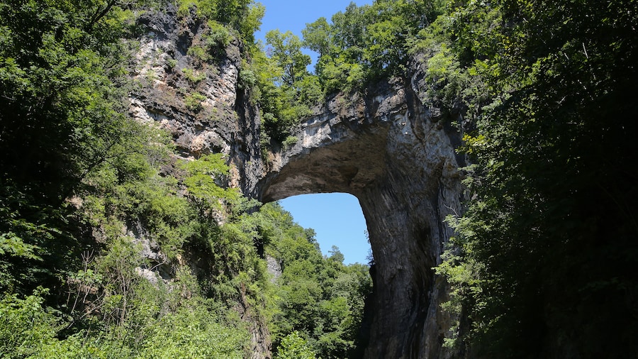 네추럴 브릿지 주립 공원