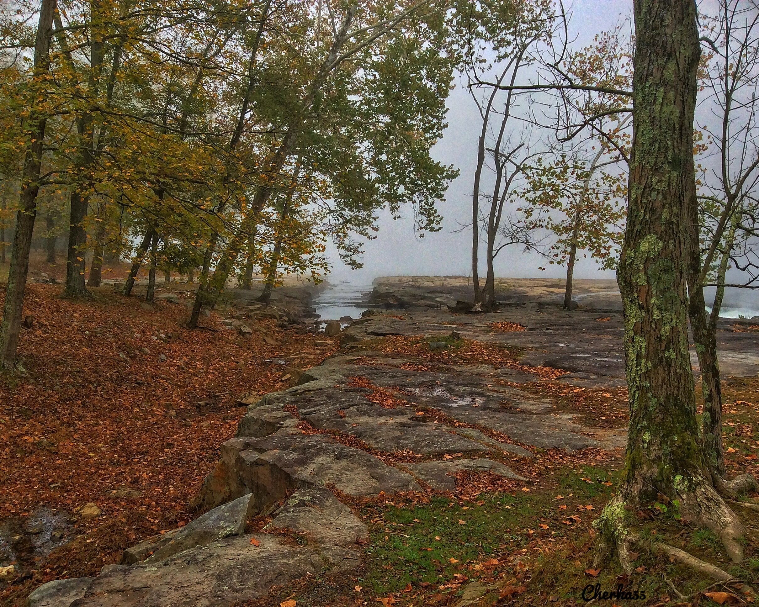 Fall in West Virginia now....