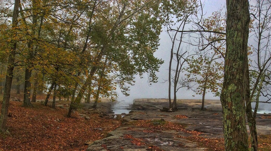 Fall in West Virginia now....