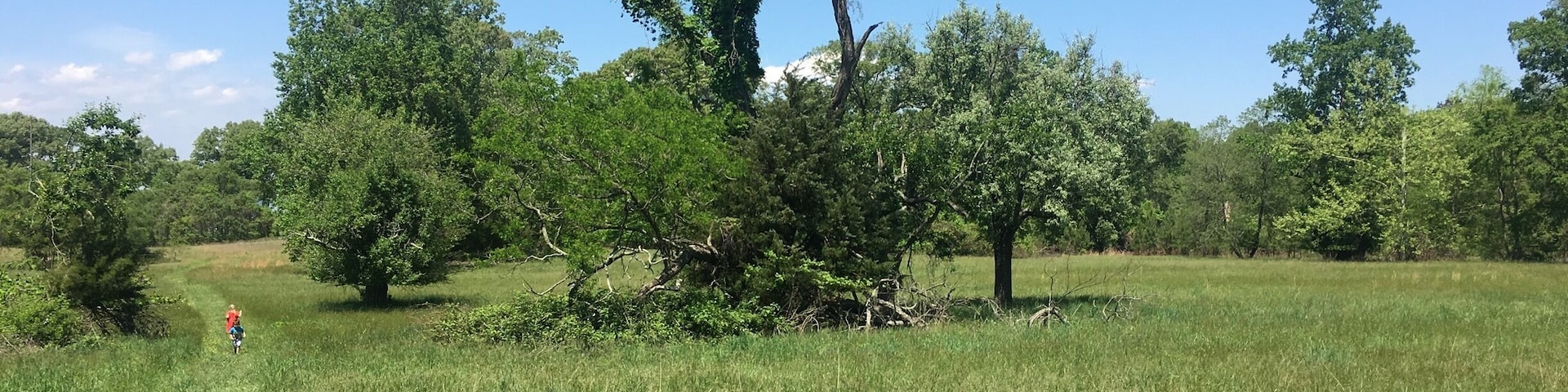 This is part of the field I took a picture of in the previous photo. This is closer to the water about mid field.
#springfun