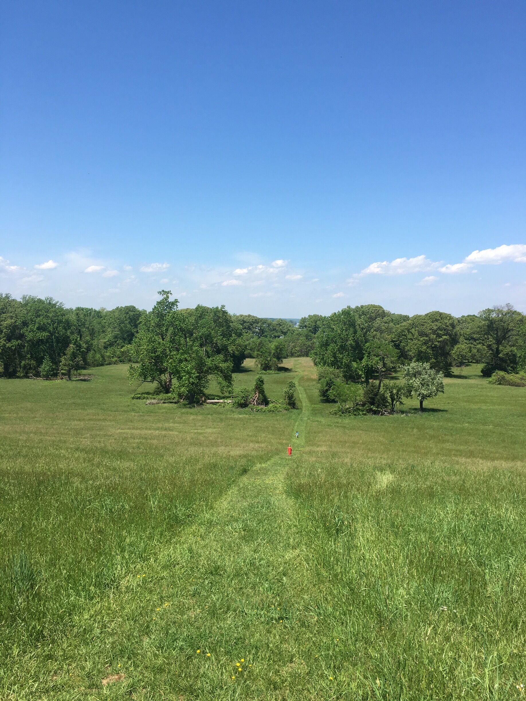 The field of cactuses and fruit trees :p
#springfun