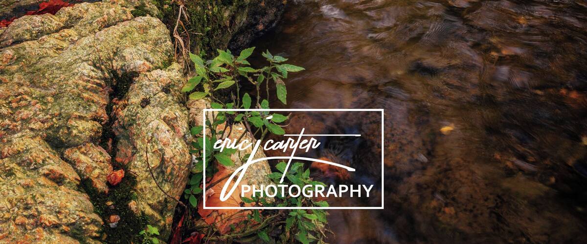 Autumn descends along a peaceful creek running beneath a small bridge at White Clay Creek State Park in Delaware.