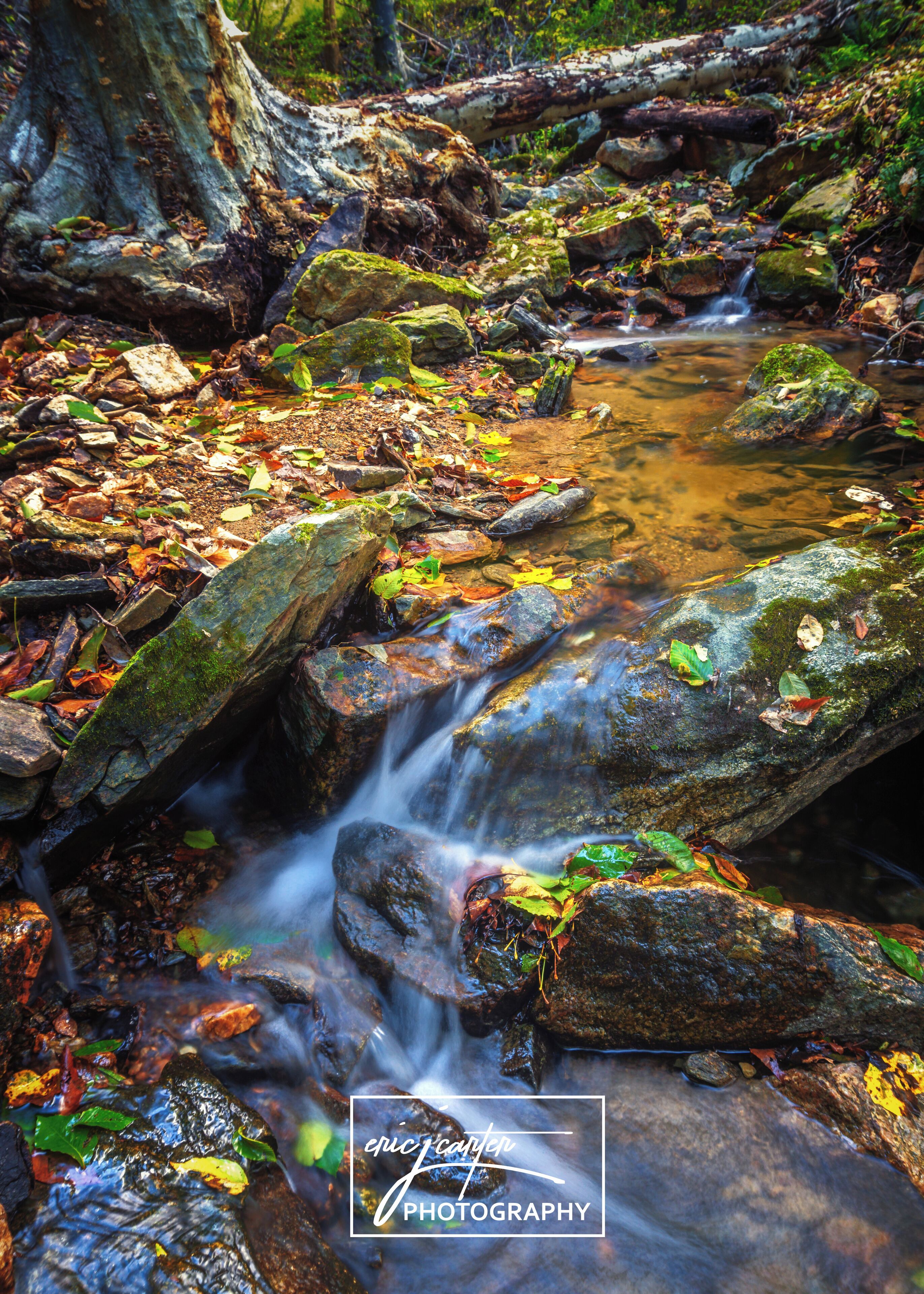 Deep in the woods, along the creek and it's tributaries is the land of fairies and elves.
