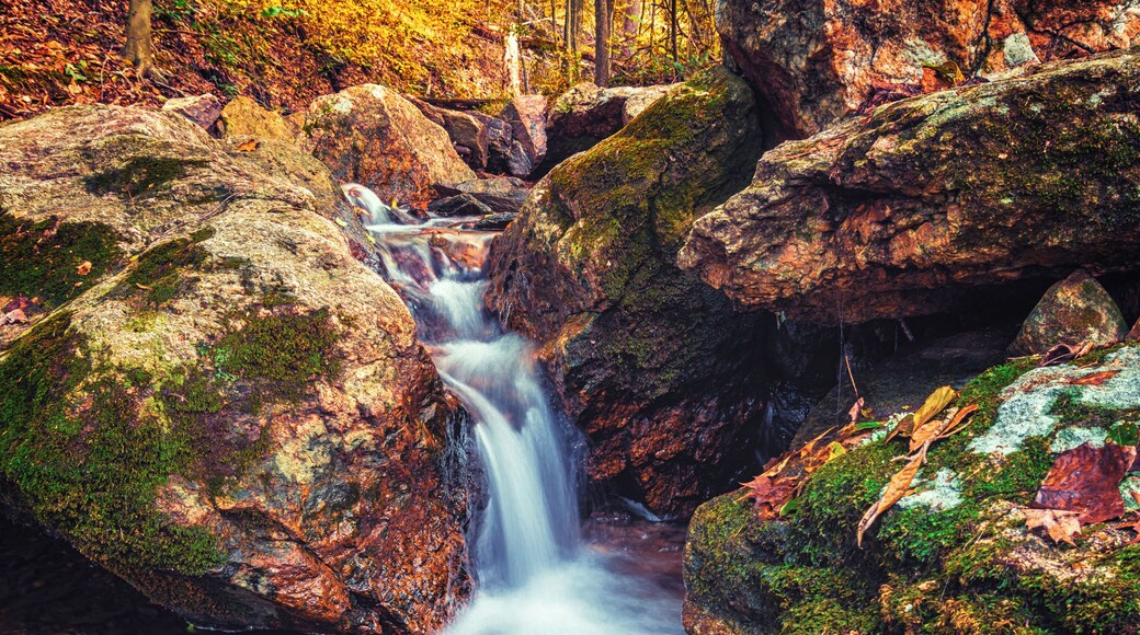 Fall colors along a creek bed make for a great photo, be ready to hike though, It's a bit off the beaten path.