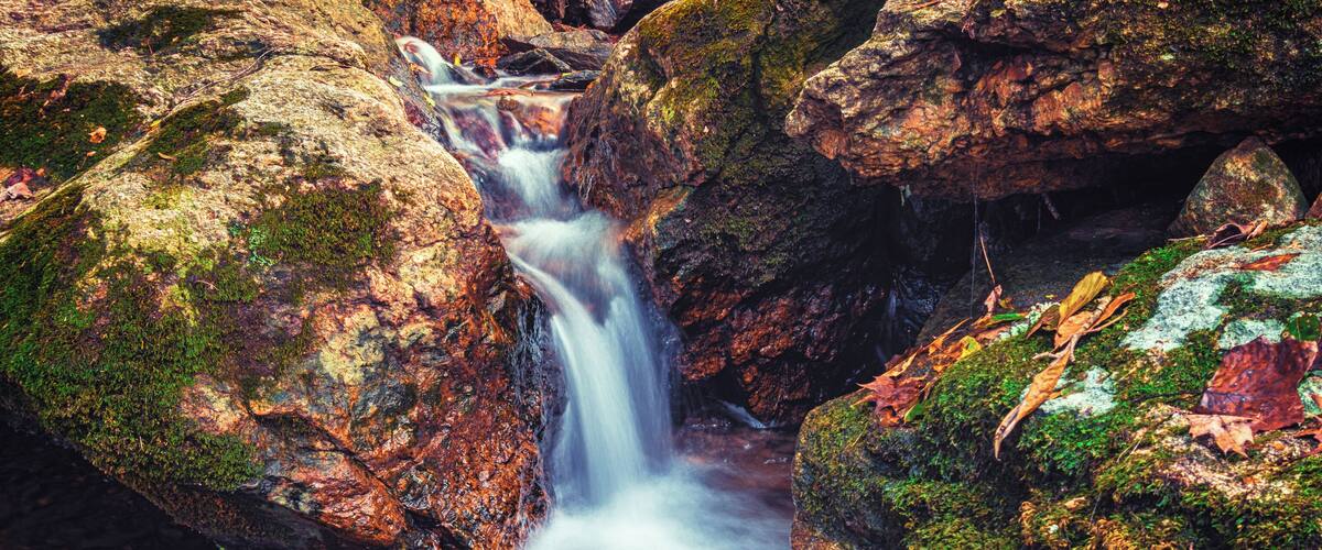 Fall colors along a creek bed make for a great photo, be ready to hike though, It's a bit off the beaten path.