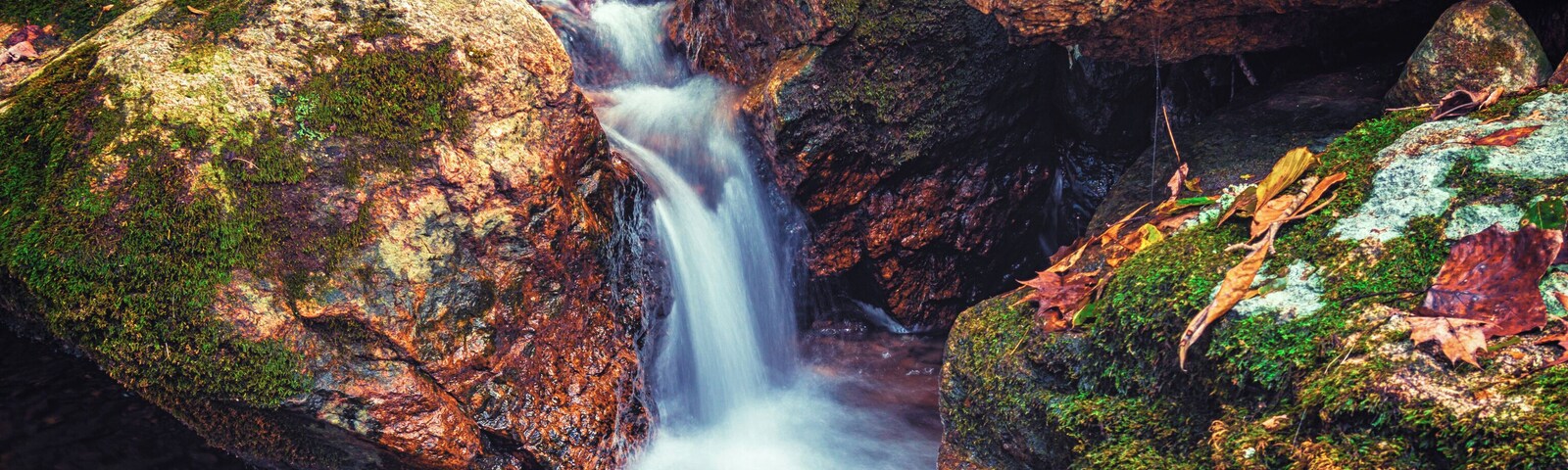 Fall colors along a creek bed make for a great photo, be ready to hike though, It's a bit off the beaten path.