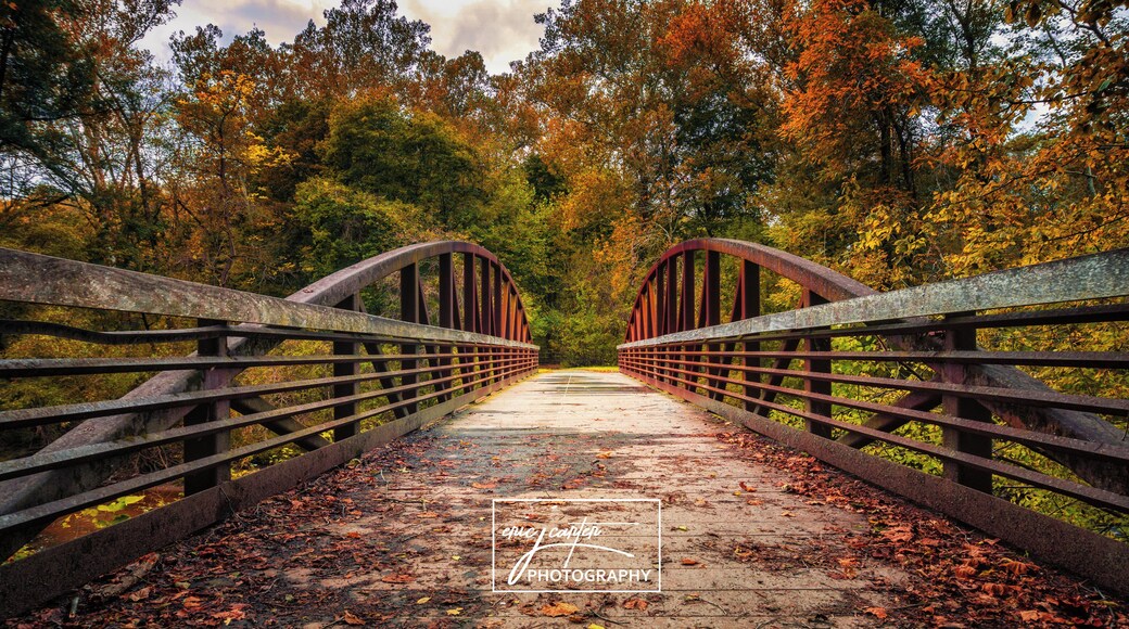 Fall colors begin to show as you walk across a secluded park bridge at White Clay Creek State Park in Delaware.
