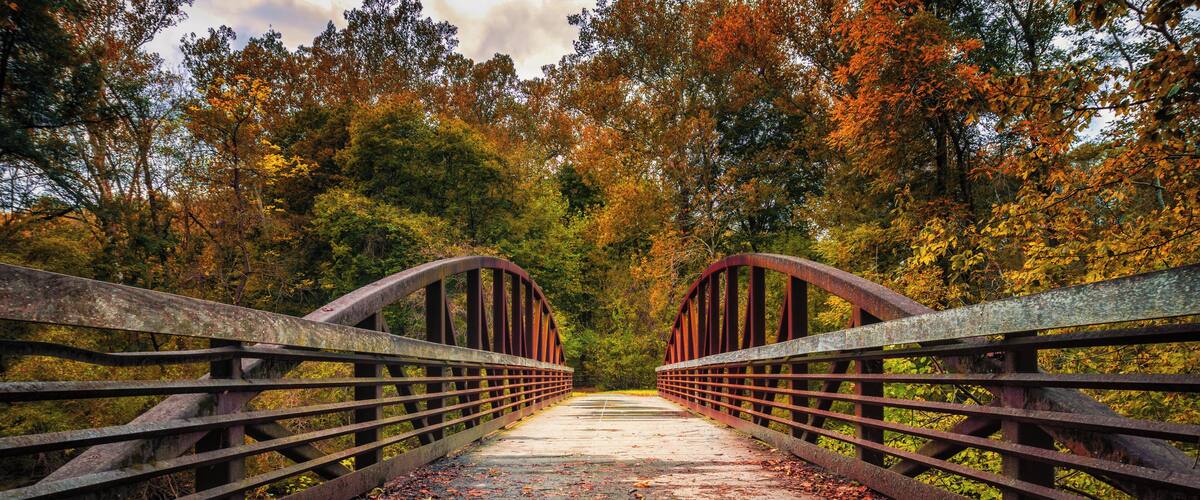Fall colors begin to show as you walk across a secluded park bridge at White Clay Creek State Park in Delaware.
