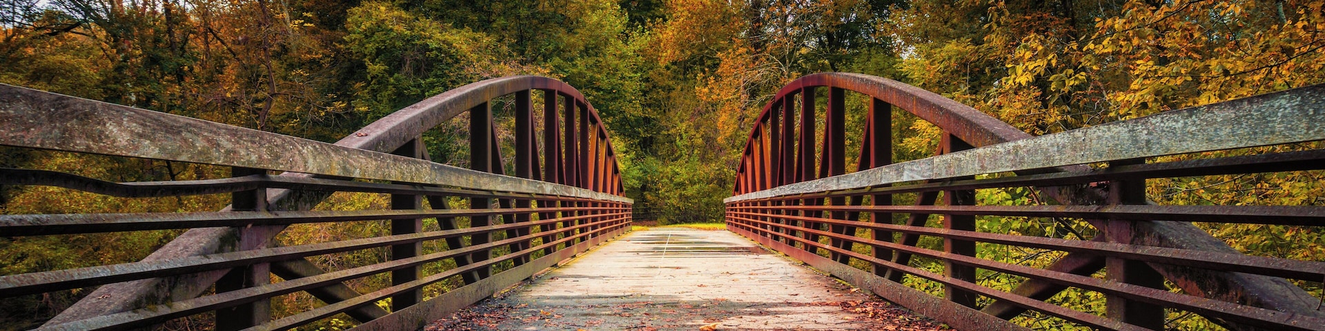 Fall colors begin to show as you walk across a secluded park bridge at White Clay Creek State Park in Delaware.