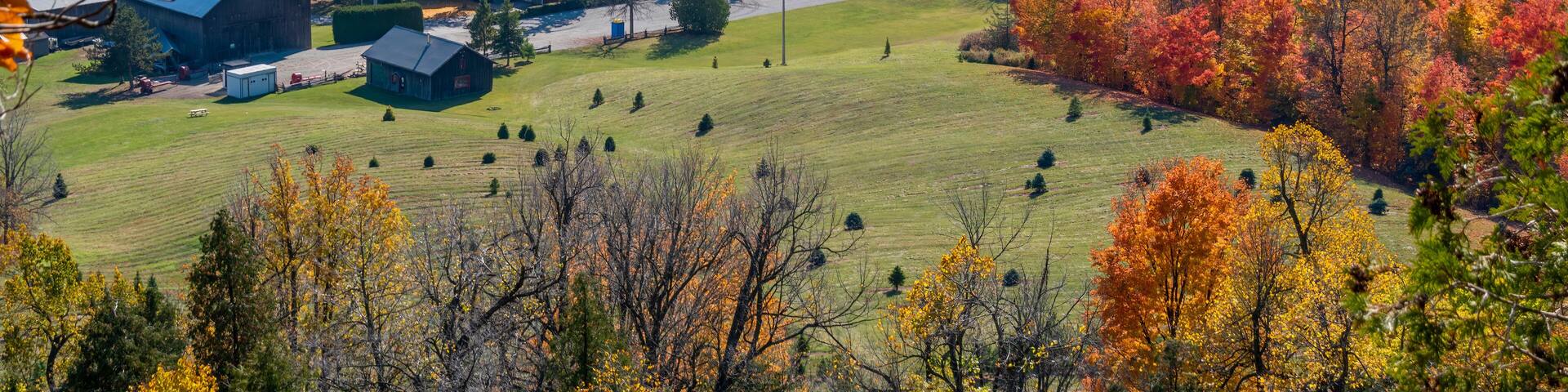 A rural landscape with autumn foliage, barns, and rolling hills.